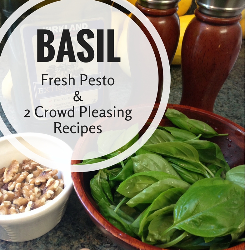 Pesto Recipe and Two Crowd Pleasing Recipes